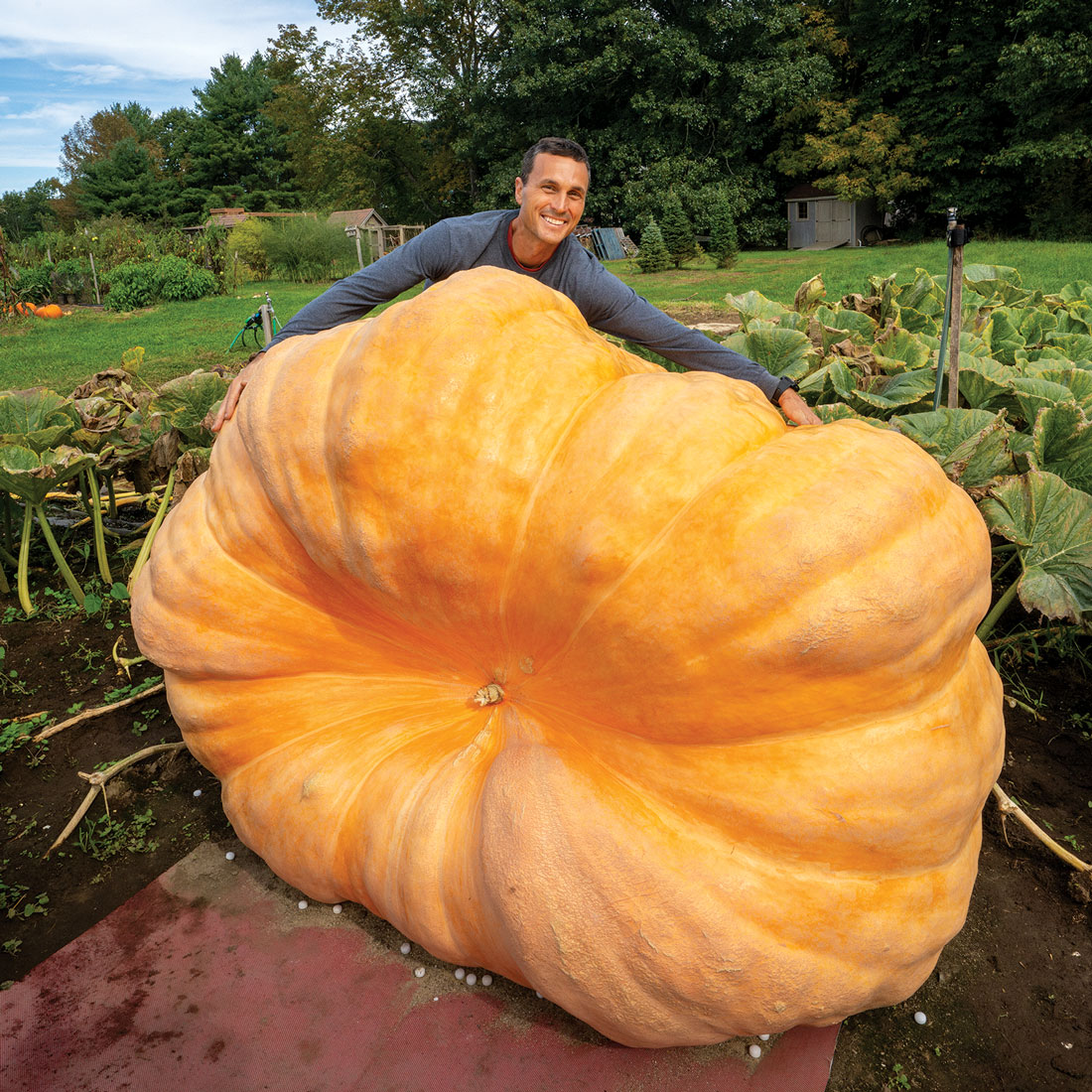 Maine meteorologist Charlie Lopresti with one of his giant pumpkins