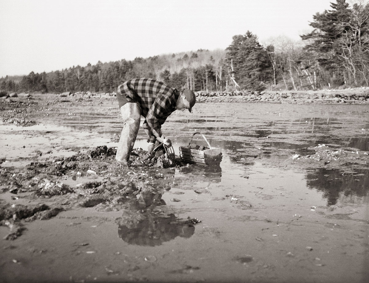 A clammer on the Medomak River in the ’60s or ’70s, before the red tide of 1972