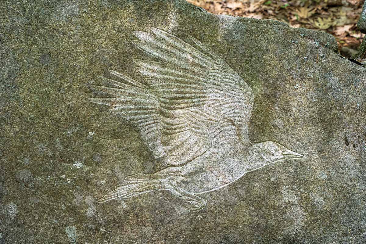 A bird stone carving by Kevin Sudeith