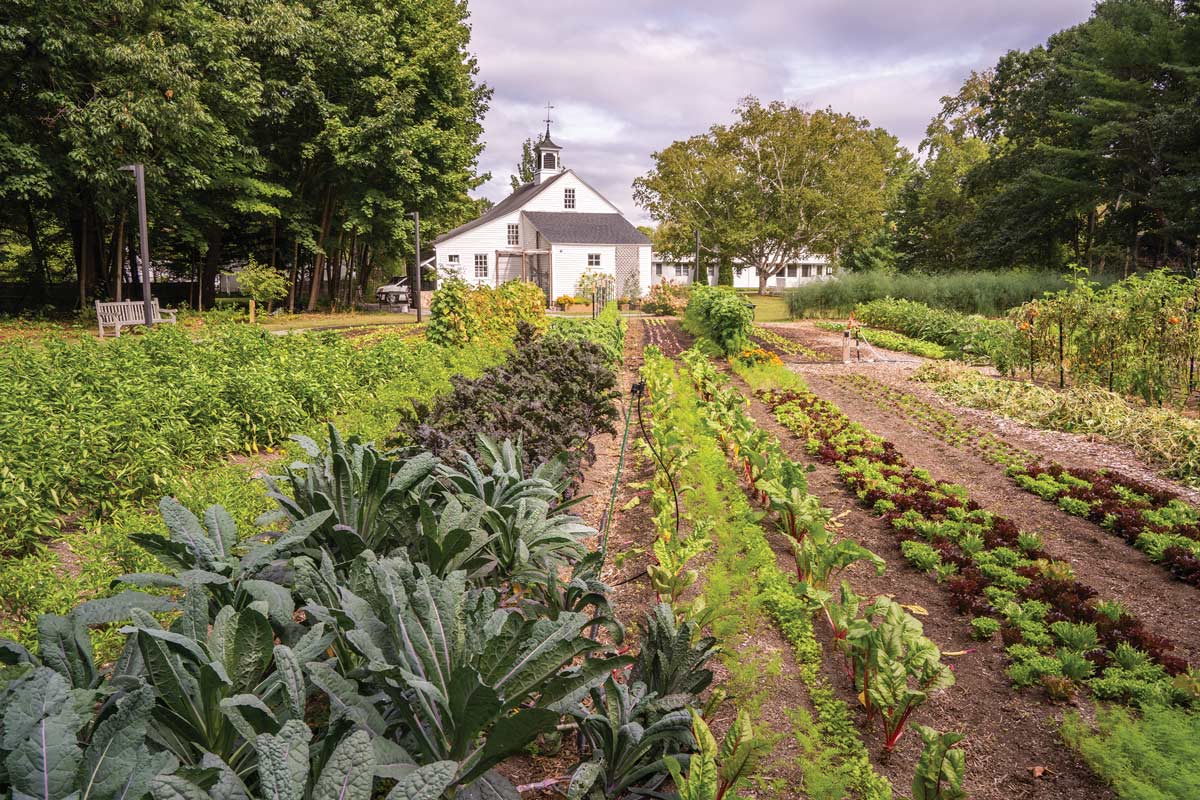 The organic gardens at Bowdoin College where Ian Trask worked part-time