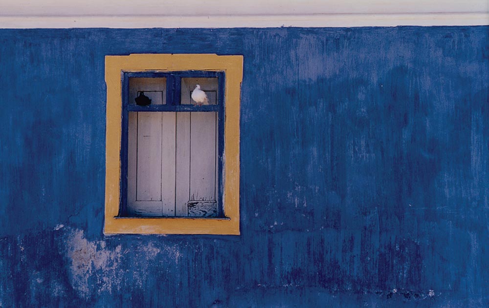 Jay Maisel’s Blue Wall with Doves (1972)