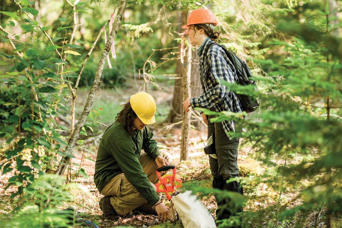 Jack McCann (left), a research technician in UMaine’s forest-ecology program, takes measurements with Marin Harnett, a summer research technician from North Carolina in the Holt Research Forest