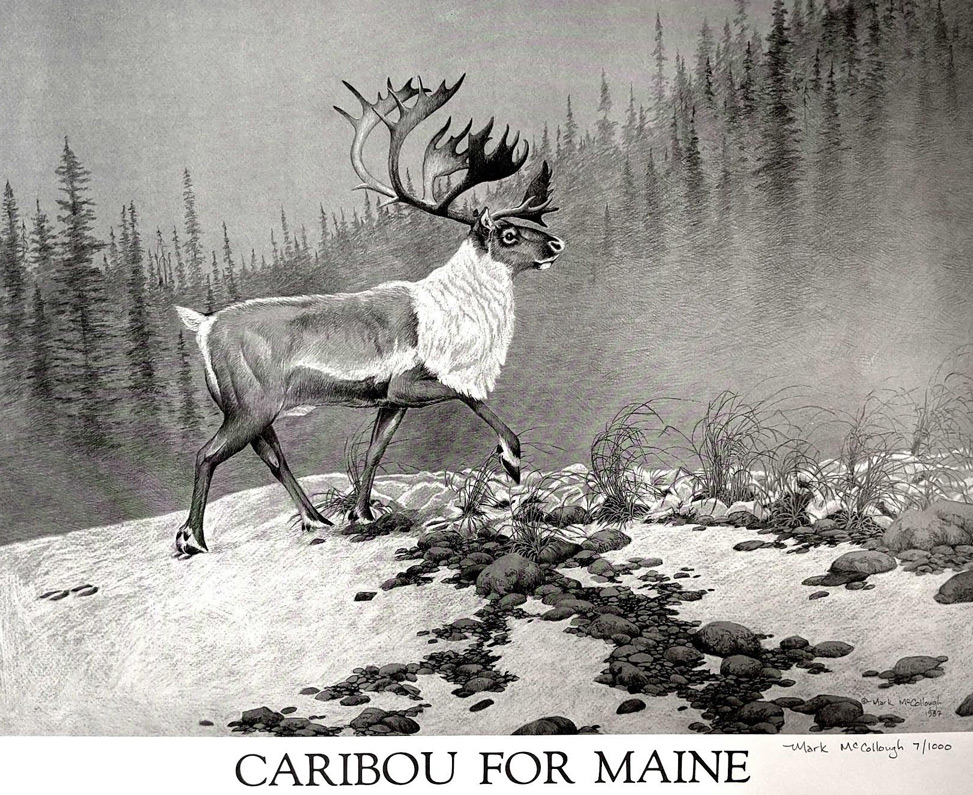Caribou illustration by Mark McCullough