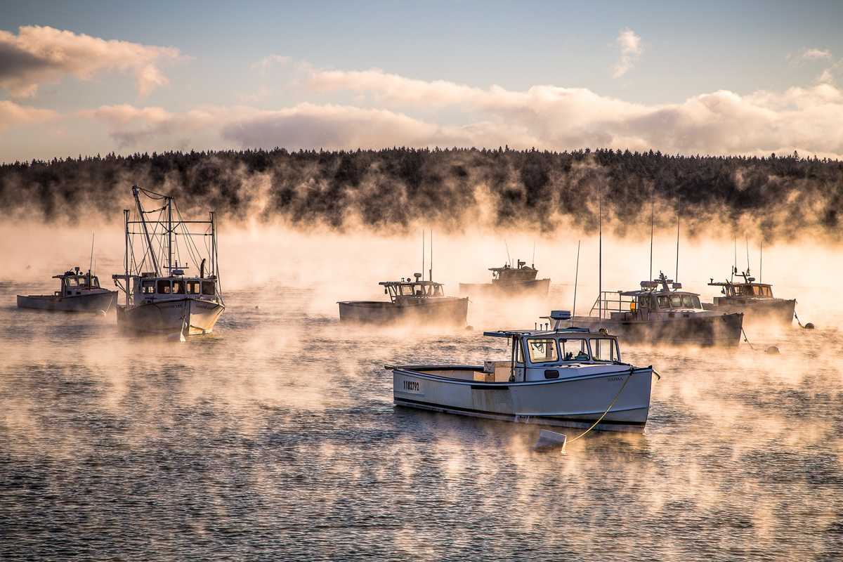 Sea Smoke, Owls Head Harbor, Maine