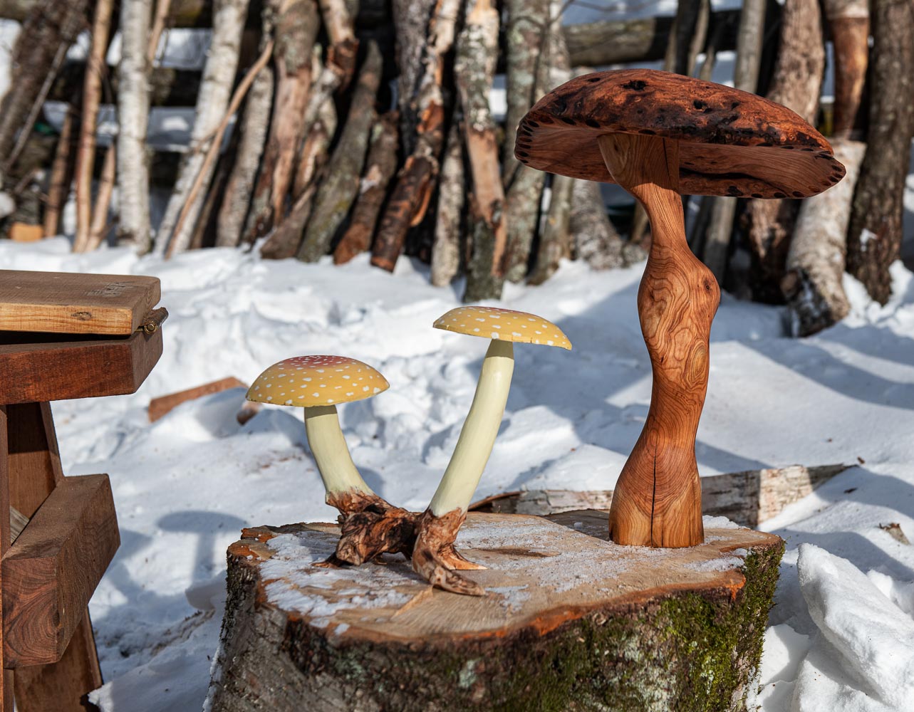 wooden mushroom sculptures by cousins Luke and Edmund Couture