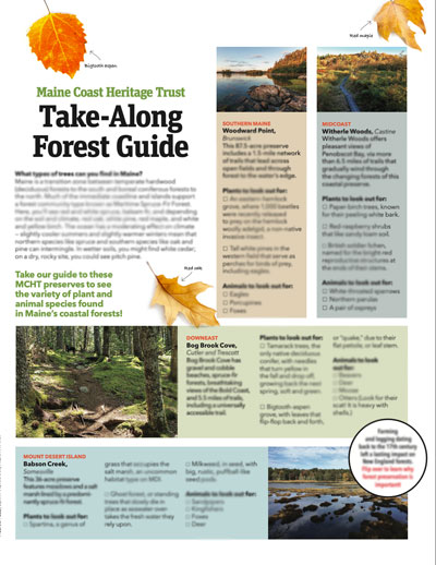Maine Coast Heritage Trust Take-Along Forest Guide