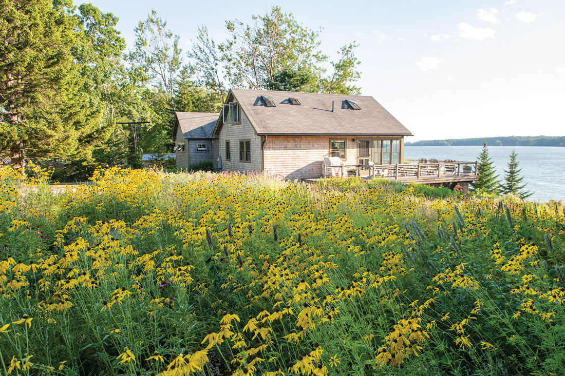 a Cushing vacation home appears to nestle in a bank of deer-resistant black-eyed Susans and goldenrod