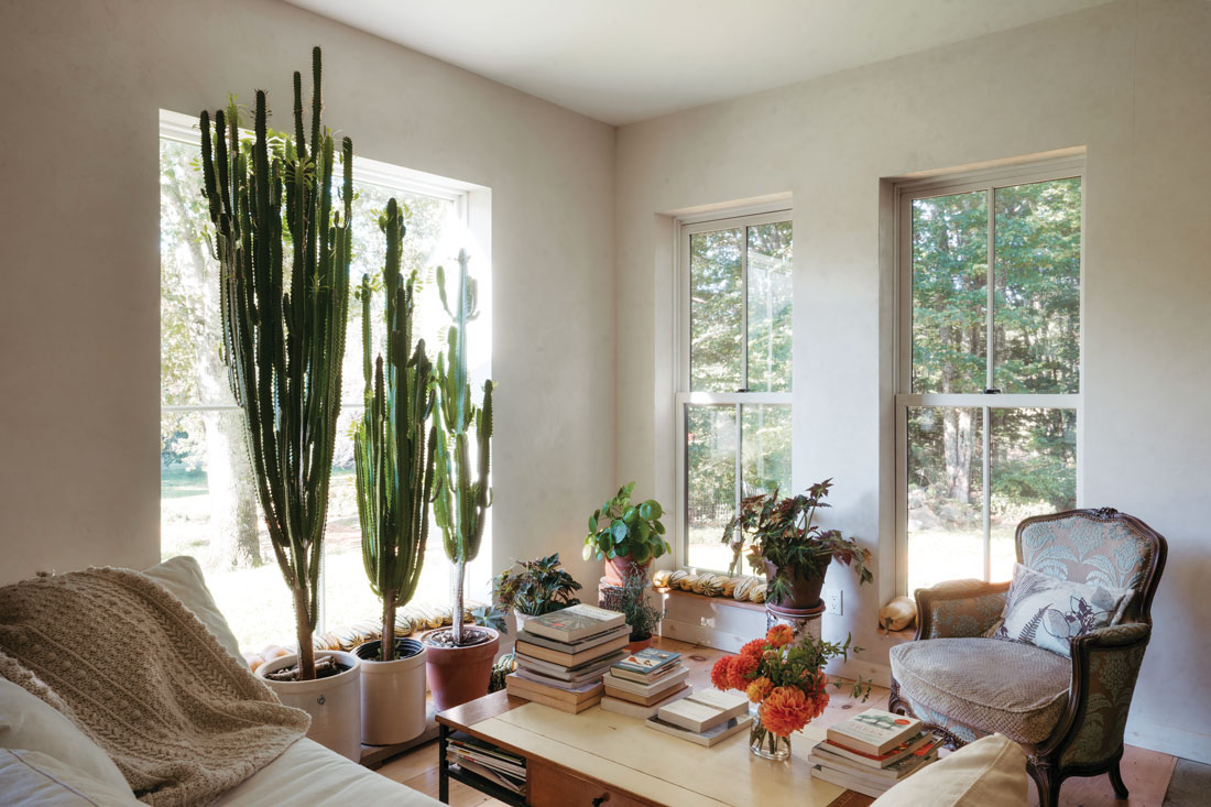 Exotic plants, such as lofty euphorbia trigonas, mingle with home-grown squash and dahlias in Erica Berman and Alain Ollier’s Newcastle living room.