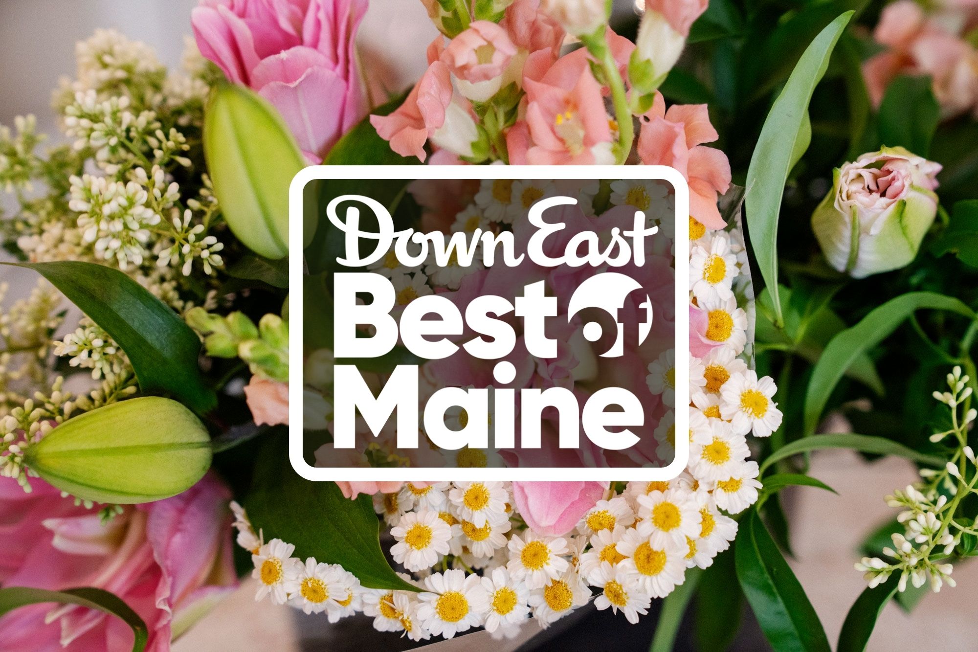 Best of Maine 2023